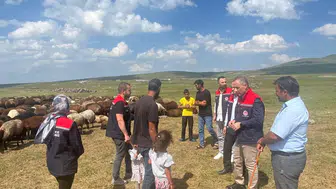 Kars yaylalarında 10 bin hayvan sağlık kontrolünden geçti