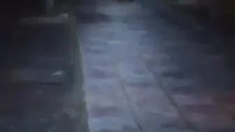 Bolu Kıbrıscık'ta bozayı çocuk parkına yerleşti