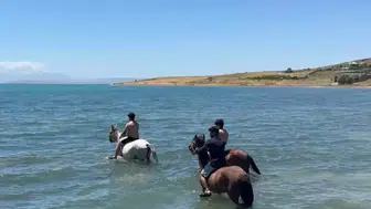 Van Gölü’nde atlarla serinleme mesaisi