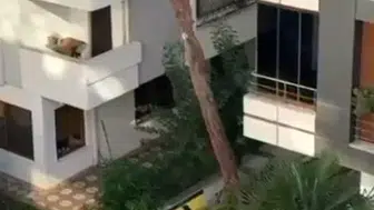 Maltepe'de şiddet anına komşulardan taşlı tepki