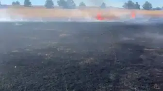 Karabük'te rüzgarın körüklediği anız yangını tarlaları küle çevirdi
