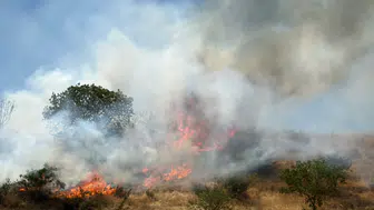 Safranbolu’da yangın paniği 100 dönümlük arazi küle döndü