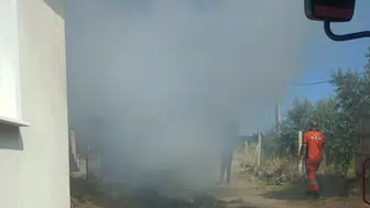 Manisa’da anız ateşi ormanı yakmaktan son anda kurtuldu
