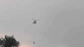 Aydın Çine orman yangınında havadan söndürme çalışmaları tekrar başladı
