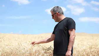 Pursaklar Belediyesi boş arazileri tarlaya çevirdi