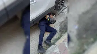 Adıyaman'da park halindeki otomobilin motoruna sıkışan kedi kurtarıldı