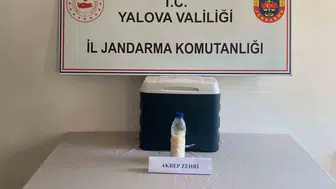 Yalova jandarması servet değerinde akrep zehri ele geçirdi