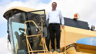Beylikova Belediyesi kendi tarlasından hasat topluyor