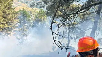 Adana Saimbeyli orman yangını korkuttu