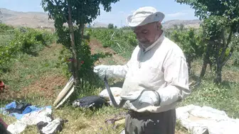 Batman'da yılanı öldürmek yerine doğaya salmayı seçti