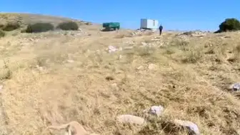 Aladağlar'da paraşütçüye çoban köpekleri saldırdı