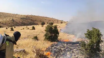 Mardin Mazıdağı'nda korkutan alevler kontrol altına alındı