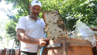 Hataylı arıcıların yüzü bu sezon bol yağmurla güldü