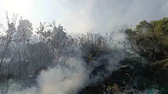 Bingöl alevlere teslim oldu ekipler müdahale etti