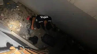 Dört ilçede mahsur kalan sokak hayvanları itfaiye ekipleri tarafından kurtarıldı