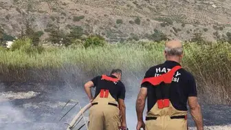 Samandağ'da bahçede başlayan yangın paniği kısa sürdü