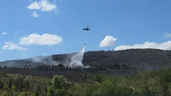 Gebze Beylikdağı’nda orman yangını korkuttu