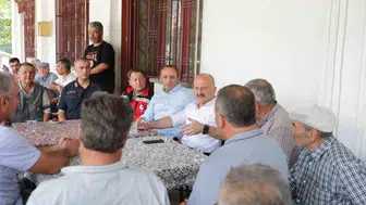Çine orman yangını sonrası yaralar sarılıyor