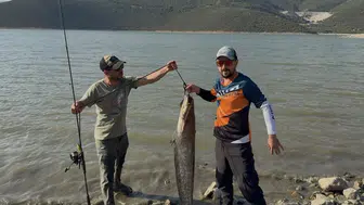 Turna umuduyla çıktılar, göletin devini kıyıya çektiler