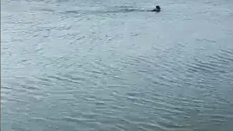 Sakarya’da gölete giren genç hayatını kaybetti