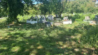 Zonguldak'ta bebek gömüldüğü sanılan mezar herkesi yanılttı