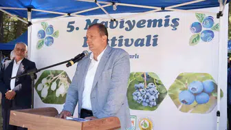 İznik’in bereketli toprakları maviyemiş hasadını kutladı