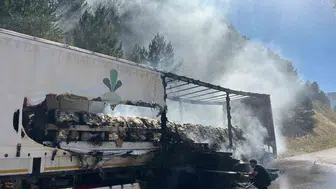 Bolu'da tır yangını ormana sıçrayarak korkuttu