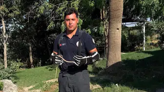 Hatay'da ısınan havalar yılanları şehre indirdi