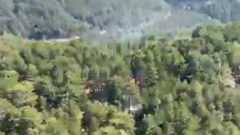 Edremit ormanlarında çıkan yangın bir saatte söndürüldü
