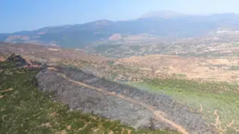Ödemiş'te orman yangınına havadan ve karadan müdahale
