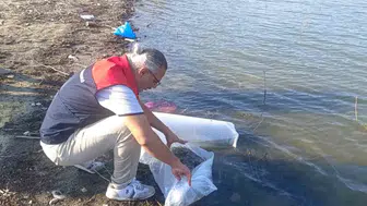 Denizli’nin göletlerine 80 bin yeni balık bırakıldı