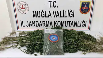 Muğla’da uyuşturucu operasyonu 33 kişi hapse girdi