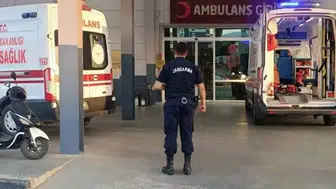 İncir bahçesinde domuz nöbeti acı bitti