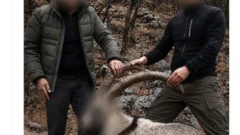 Yıllar önce vurulan keçilerin hesabı soruldu
