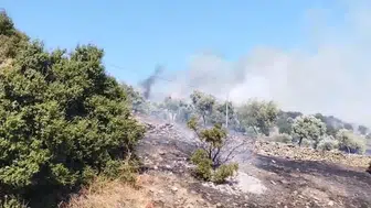 Aydın Çine’de tarım arazisinde yangın paniği