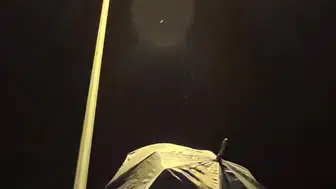 Ardahan’da milyonlarca kelebeğin ışığa göçü başladı