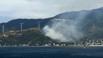 Marmara Adasında ormanı yakan kıvılcım şüpheliyi karakola götürdü
