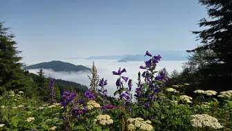 Artvin’in zirvelerinde oluşan dev sis denizi görüntülendi