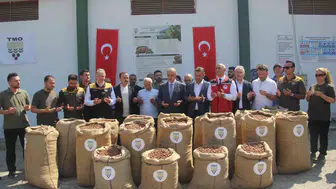 TMO'dan fındık üreticisine uyarı Geçen yılın ürünü kapıdan döner