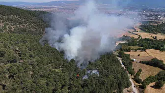 Bolu Kızılağıl köyünde orman yangını çıktı