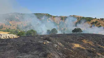 Yayla köyünde alevlere erken müdahale, yangın büyümeden söndü