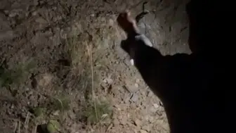 Uludağ yolunda karşılaşılan tilkiye arkadaş grubu et ziyafeti çekti