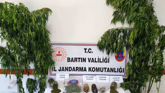 Bartın’da jandarma baskınında uyuşturucu ve kenevir ele geçirildi