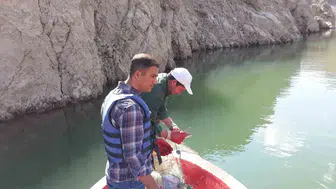 Van gölü ve çevresinde balıkçılar için yasak süreci bitti