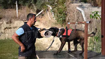 Enkaz altında hayat bulan mucize burunlar