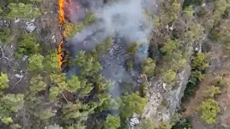 Kemer ormanlarında yangın alarmı