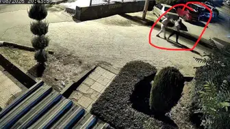 Boşanma aşamasındaki eşini çocuğunun önünde öldüren koca adliyede