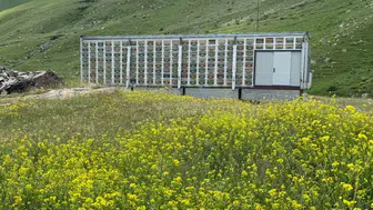 Kars yaylalarına teknolojik arı üssü kuruldu