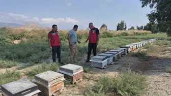 Antakya'nın altın sarısı hasadında kritik denetim