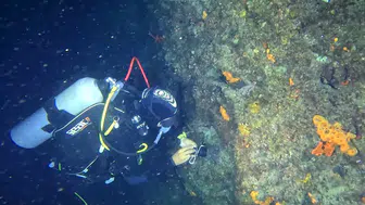 Saros Körfezi’nde karanlık sularda gizli dünya keşfediliyor